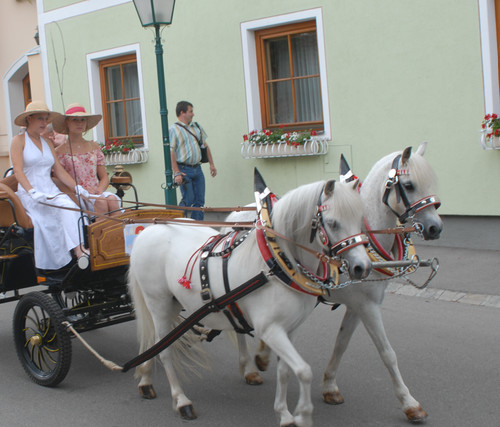 Handgefertigtes kummetgeschirr - handgefertigtes,