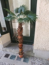 Künstliche Palme Fächerpalme