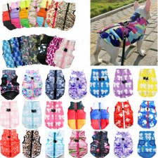 ❤️ Klein Haustier Hund