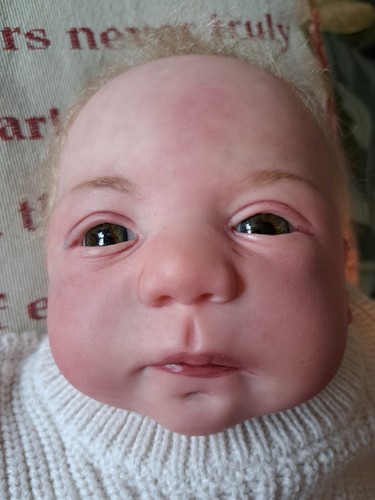 Reborn benjamin von daisys - reborn,