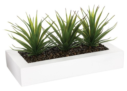 Kunstblume aloe veras im - aloe,