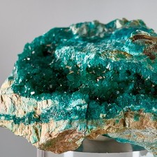 Seltener smaragdgrüner Edelstein Dioptase Kristall Cluster auf Matrix aus Namibia