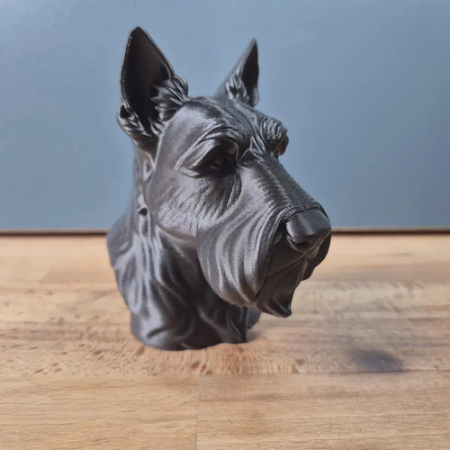 Scottish terrier büste - terrier, /