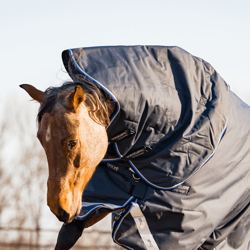 Horseware amigo bravo - horseware,