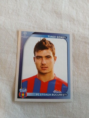 Panini sticker tiago gomes - tiago,