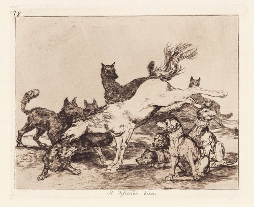 Francisco goya plate 78 - francisco,