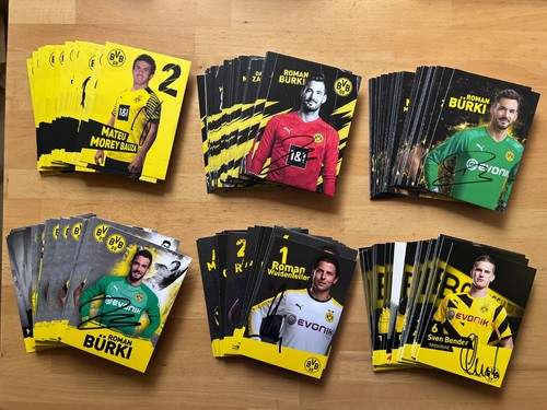 Borussia dortmund - borussia,