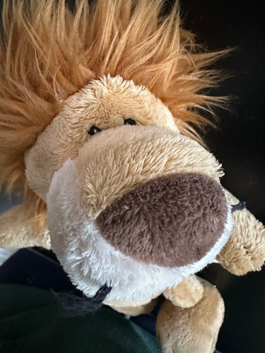 Nici löwe - löwe, 🦁