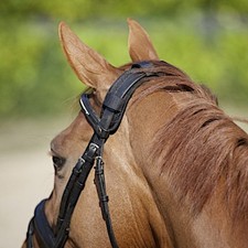 Back on Track Genickschoner