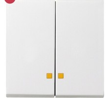 Gira 063103 Wippe 2-fach mit