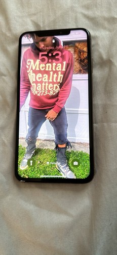 Iphone max 256gb - xs,