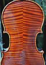 Meistergeige C. G. SCHUSTER JUN, MARKNEUKIRCHEN 1911