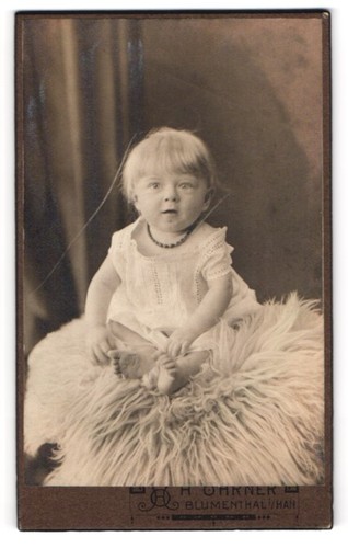 Fotografie hans ohrner - fotografie,