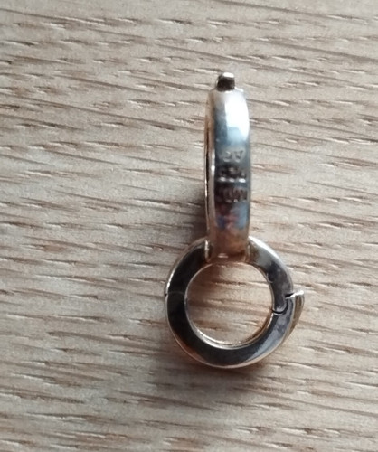 Ohrstecker der designermarke - der,