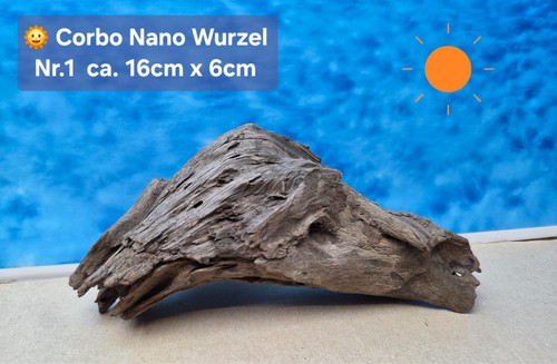 Corbo root nano - ‼️corbo,