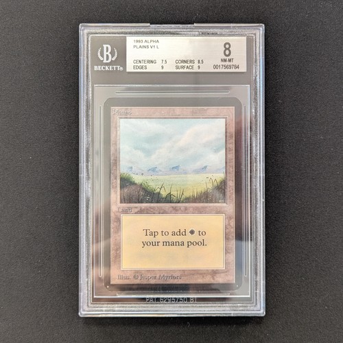 Mtg plains - plains, 8)