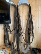 pferdegeschirr schetty bis Kaltblut