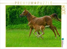 Calvendo puzzle gestreckter - calvendo,