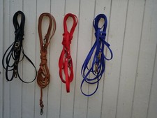 Arno's Biothane Longe/Langzügel Kombi, Beta, 6-10m, 