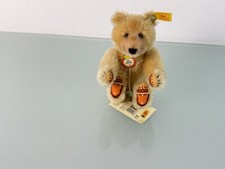 Steiff Tier 029783 Dicky Teddy Bär 17 cm - Top Zustand 