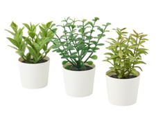 IKEA FEJKA Artifi Topfpflanze mit Topf, 3er Set, Kräuter innen/außen, 5 cm, 2...