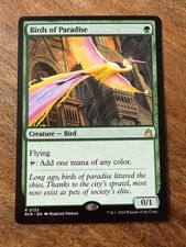 Paradiesvögel / Birds of