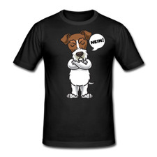 Sturer Foxterrier Hund Hunde