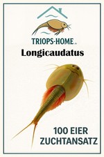 Triops Longicaudatus