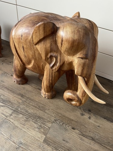 Afrikanischer elefant - afrikanischer,