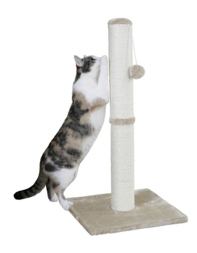Katzen kratzbaum kratzsäule - kratzbaum,