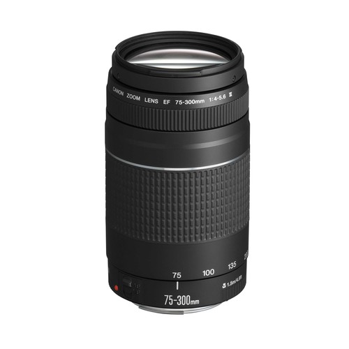 Canon 300mm 5 6 iii - canon,