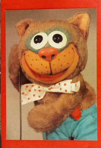 Casimir aus der - casimir,