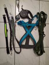 Hundepaket Schleppleine Flexileinen Halsband Geschirr Bungeeleinen