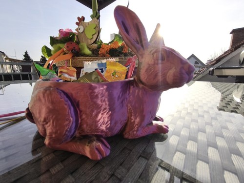 Osterhase und osterlamm - osterhase, aus