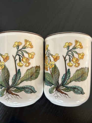 Saftbecher kaffeebecher - saftbecher,