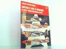 Curtiss P-40D-N Warhawk in