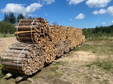 Brennholz Fichte  gespalten ca. 1 Ster gebündelt 