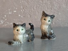 ⚜️ süße kleine Katzen