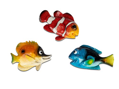 Formano stück magnet fische - 3,