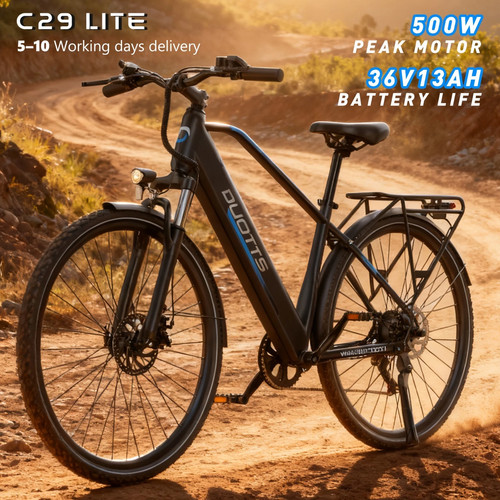 250w elektrofahrrad duotts - 250w,