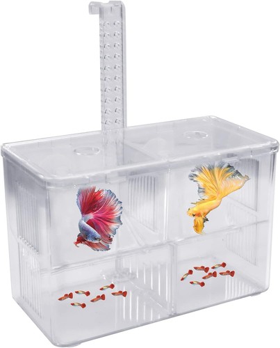 Isolationsbox aquarium acryl - isolationsbox,
