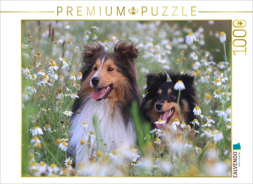 Calvendo puzzle ein motiv aus - puzzle,