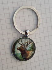 Hirsch Jagd Jäger Wald