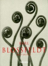 Karl Blossfeldt: Photographs