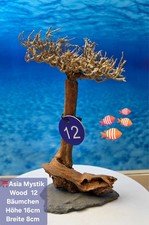 ⛩️ "ASIA MYSTIC WOOD" Aquarium Wurzel Bäumchen auf Schieferplatte