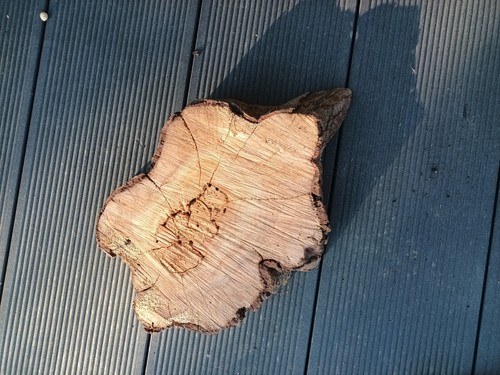 Baumscheibe holzscheibe deko - baumscheibe,