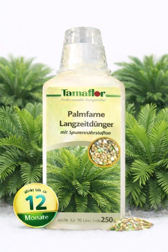 Dünger cycas palmfarn npk - dünger,