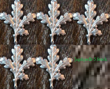 Eichenlaub für Keilerwaffen