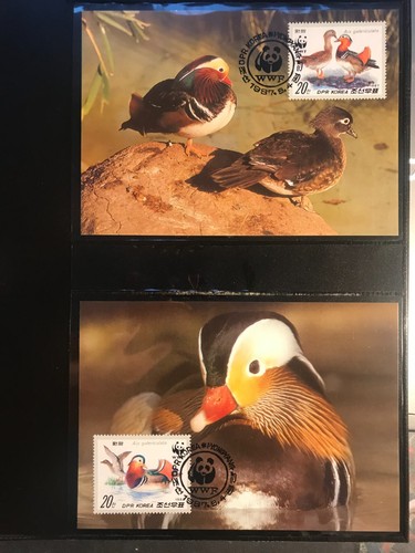 Korea 1987 satz - satz, wwf