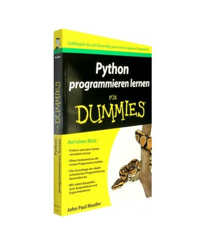 Python programmieren lernen